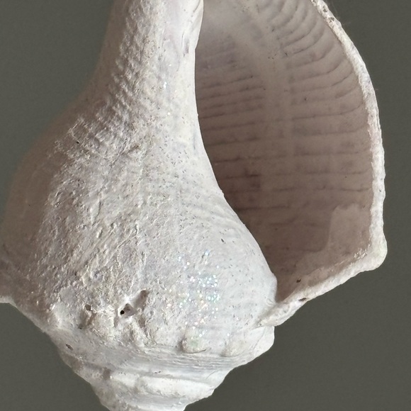 2 shore theme ornaments - Picture 6 of 9